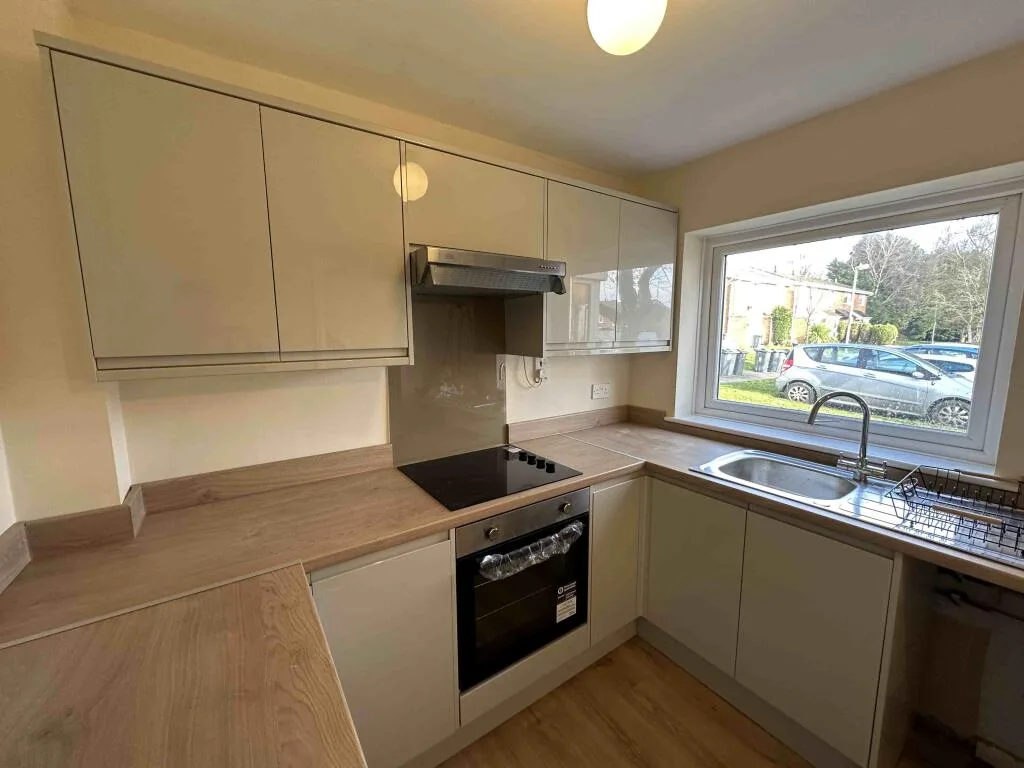 2 bedroom house for rent