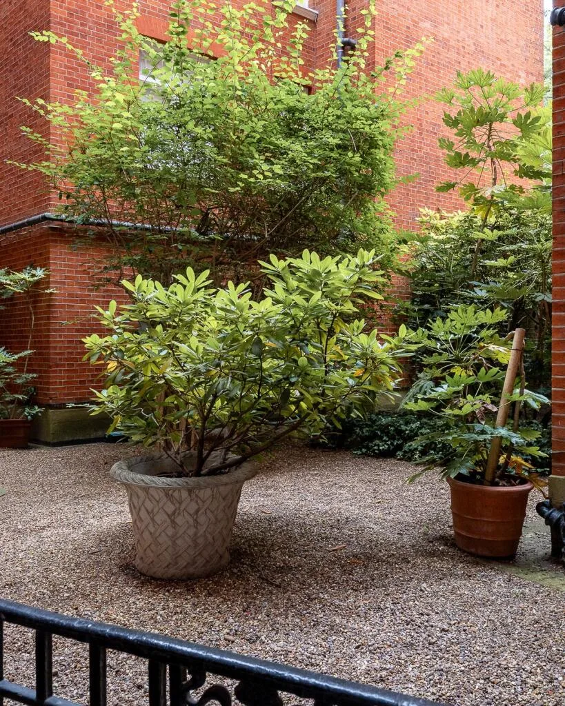 4 bedroom apartment for rent