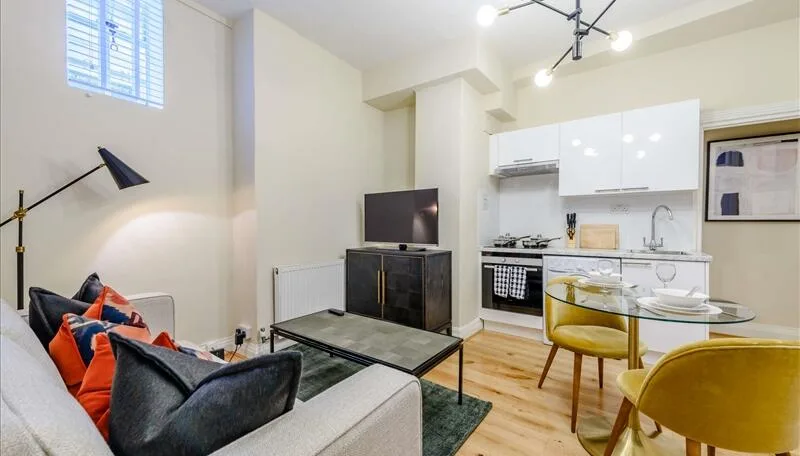 1 bedroom apartment for rent