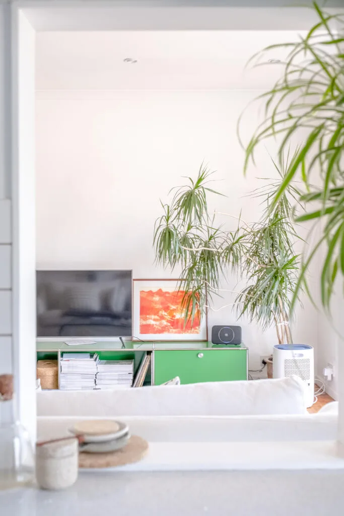 2 bedroom penthouse for rent