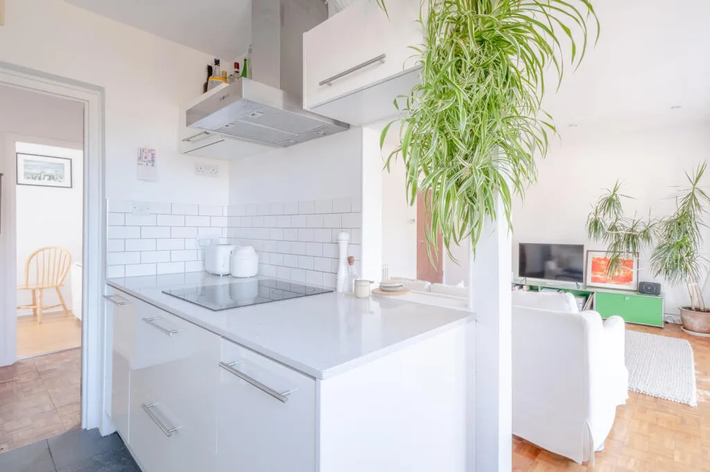 2 bedroom penthouse for rent