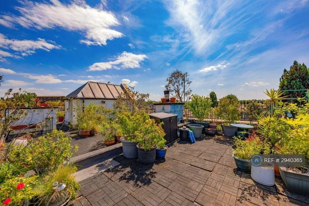 3 bedroom flat for rent