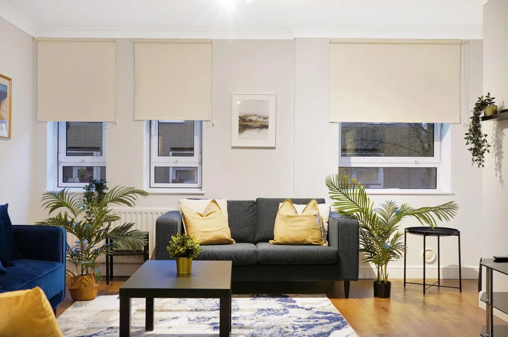 3 bedroom apartment for rent