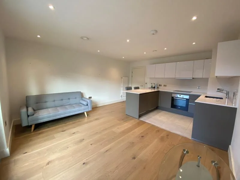 1 bedroom apartment for rent