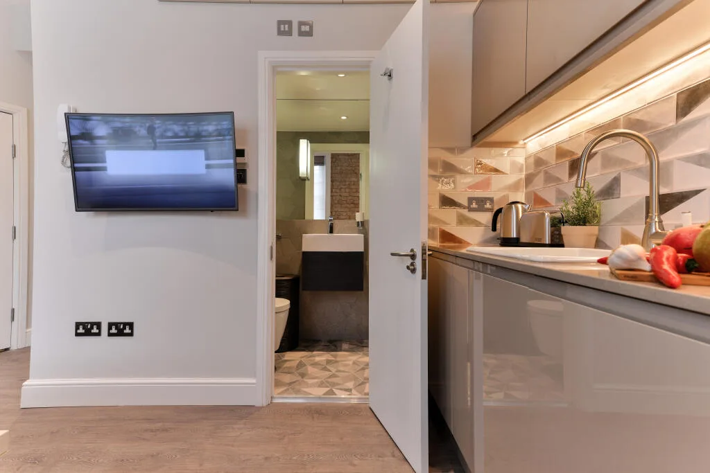 Studio flat for rent