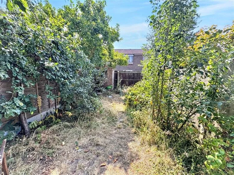 3 bedroom house for rent