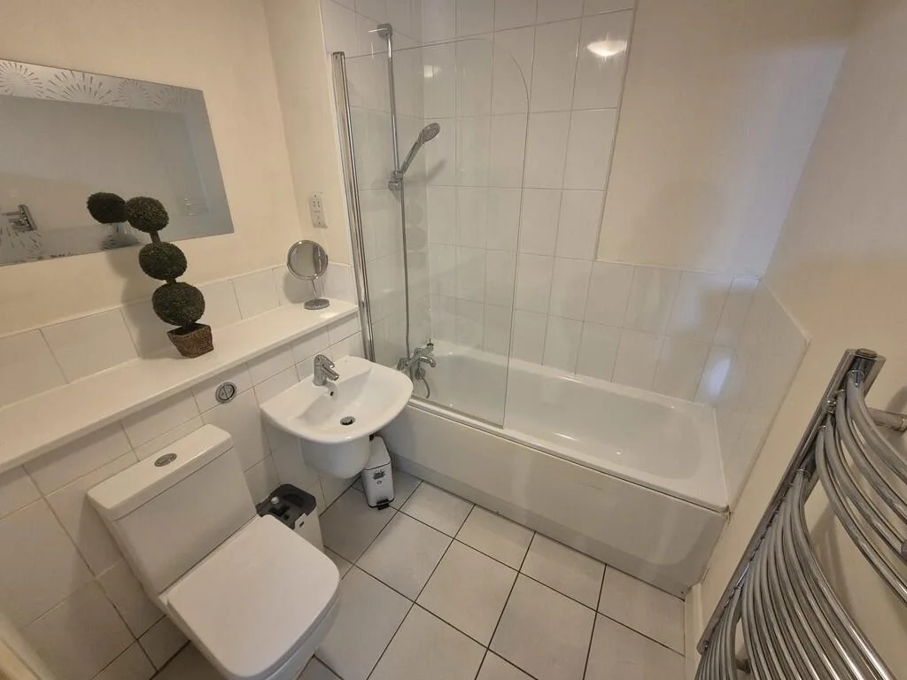 1 bedroom apartment for rent