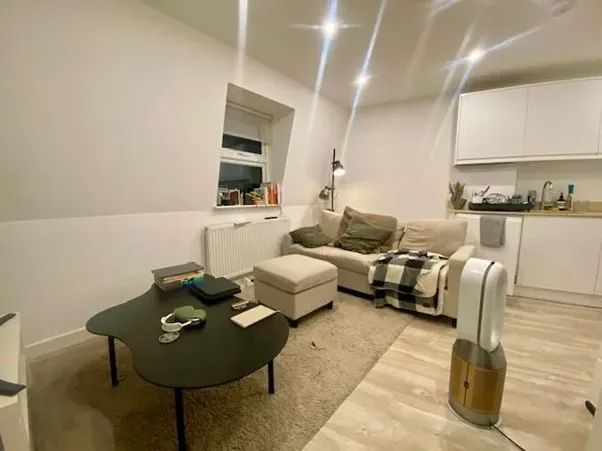 1 bedroom apartment for rent