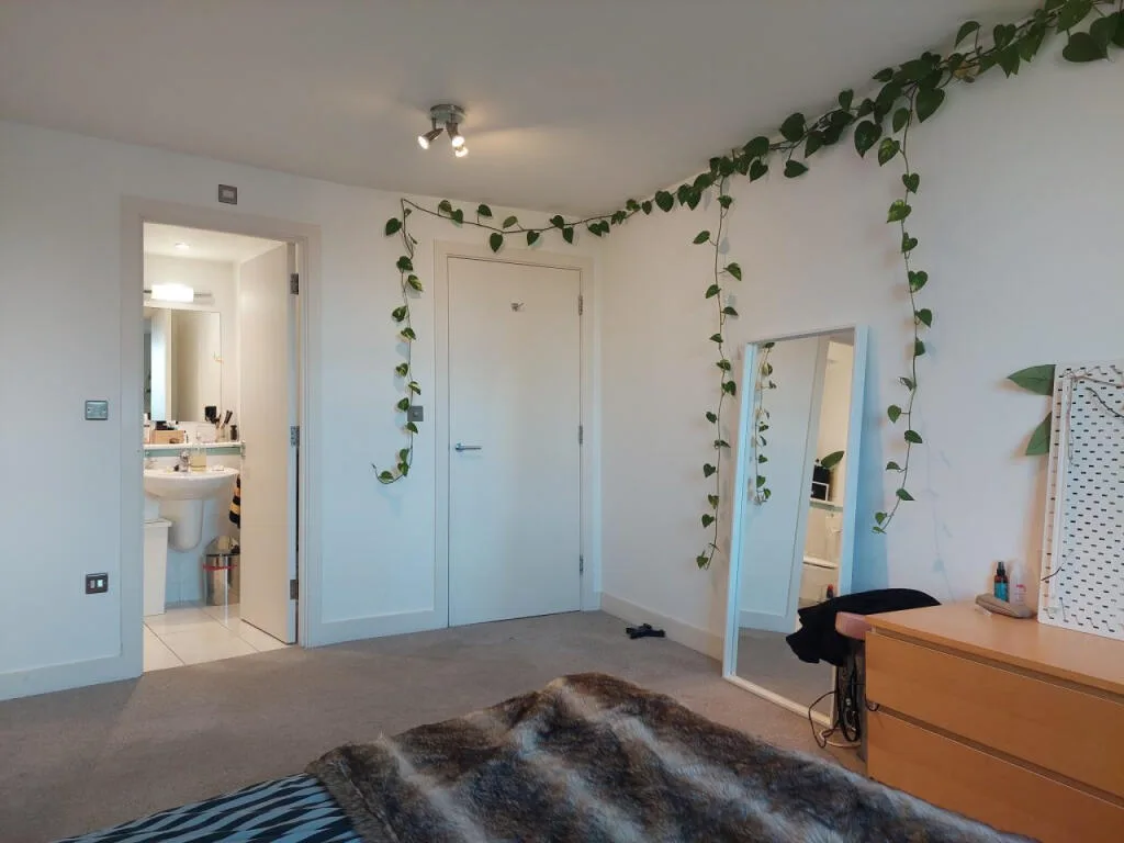 2 bedroom apartment for rent