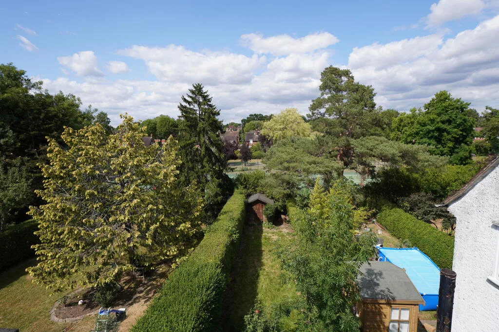 3 bedroom house for rent