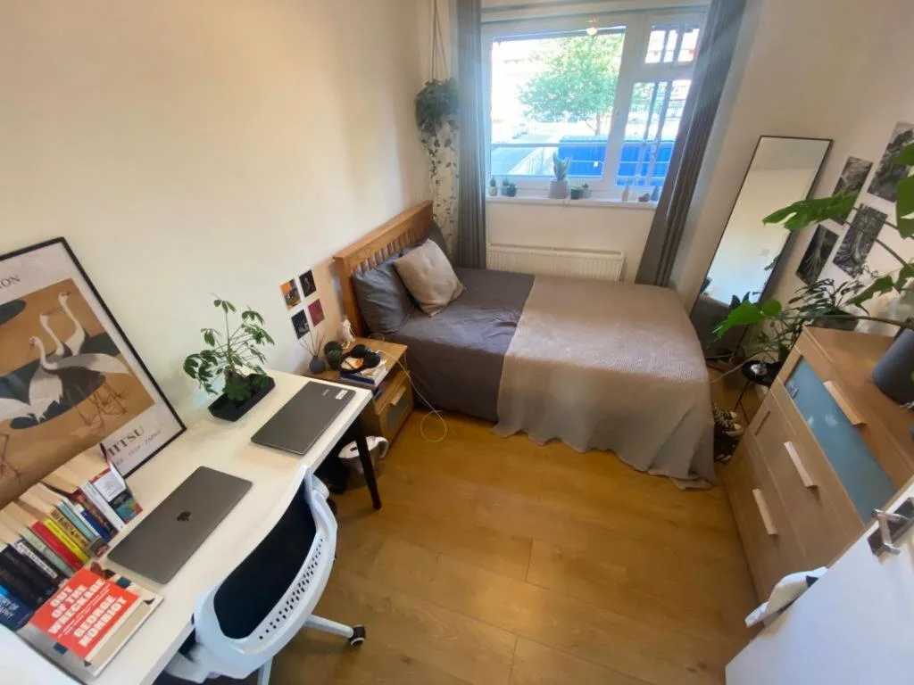 3 bedroom flat for rent