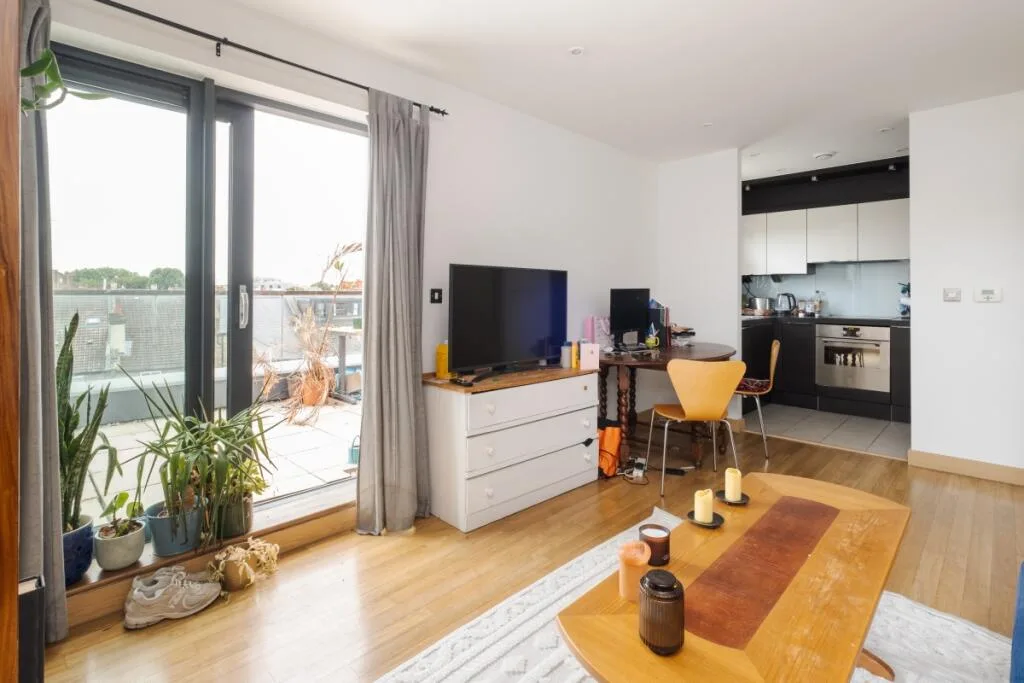 1 bedroom apartment for rent