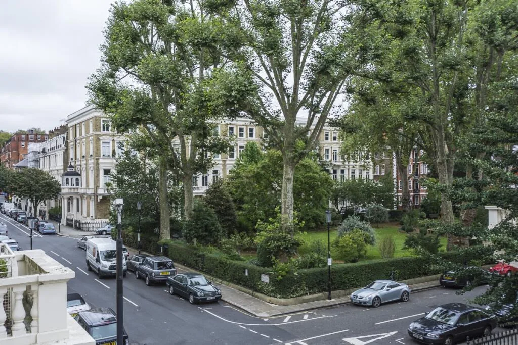 1 bedroom flat for rent