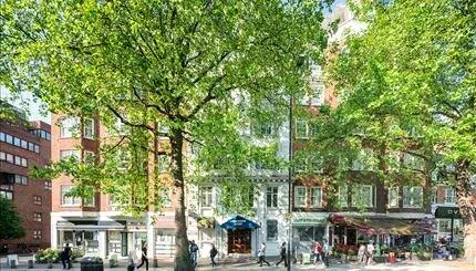 5 bedroom apartment for rent