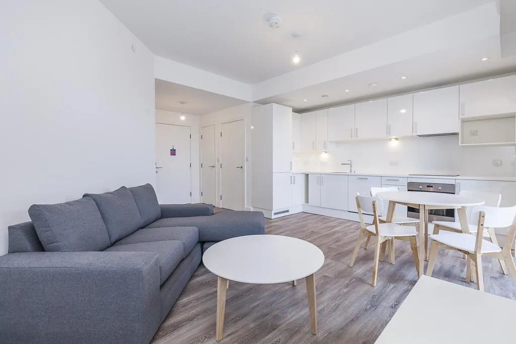 1 bedroom apartment for rent