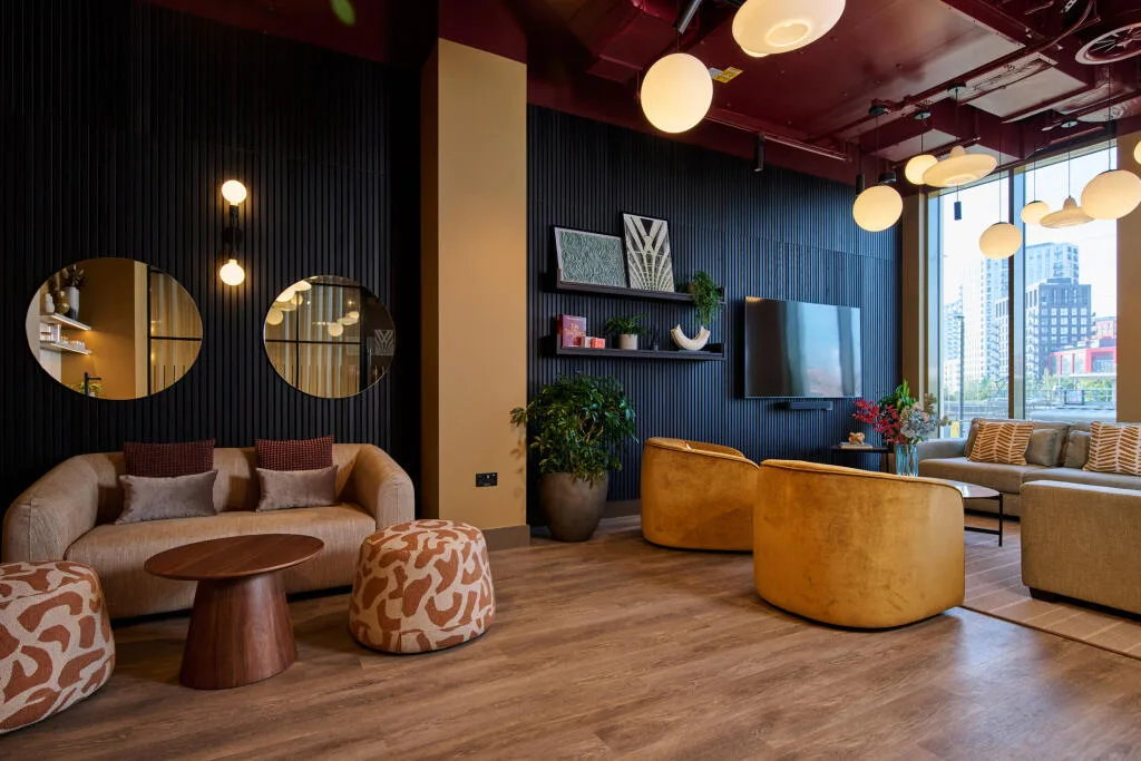 1 bedroom apartment for rent