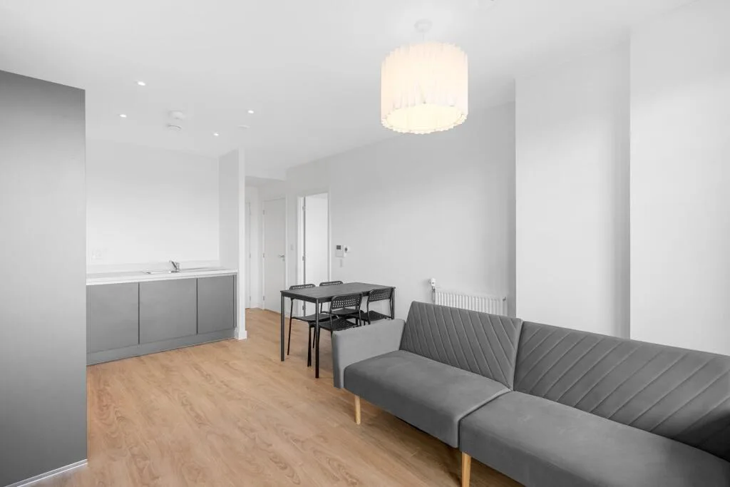 1 bedroom apartment for rent