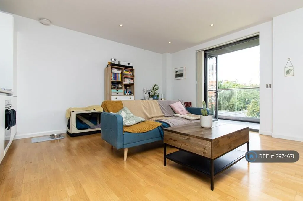1 bedroom flat for rent