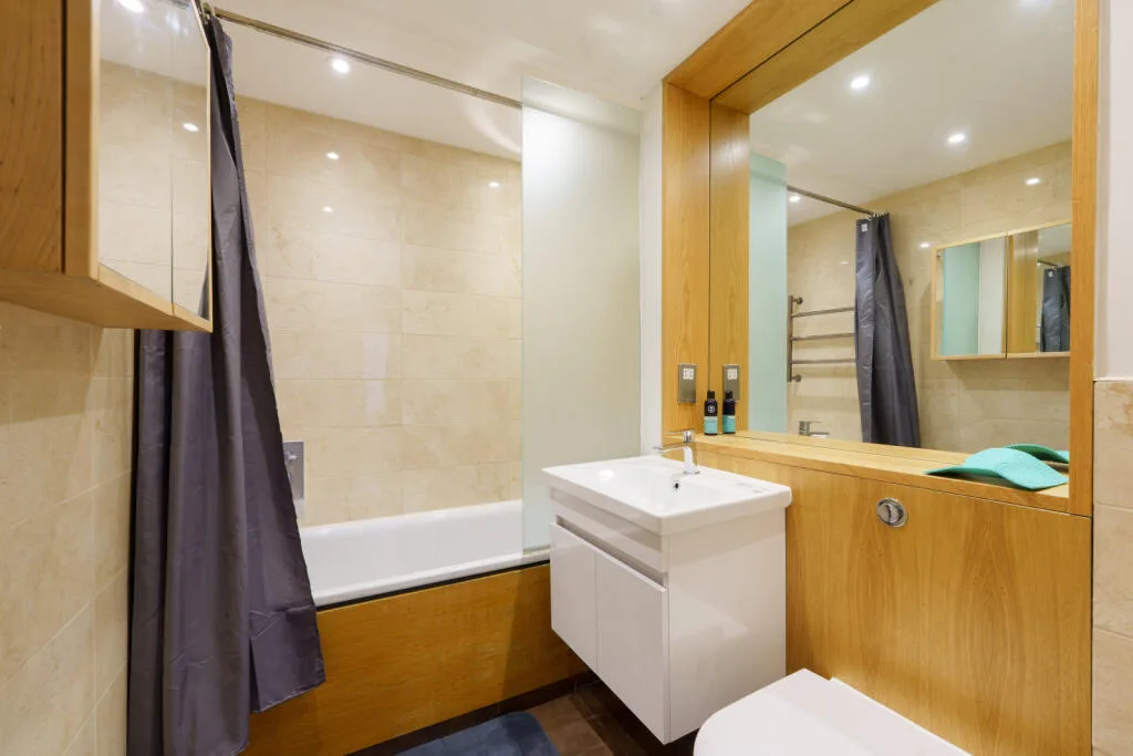 1 bedroom apartment for rent