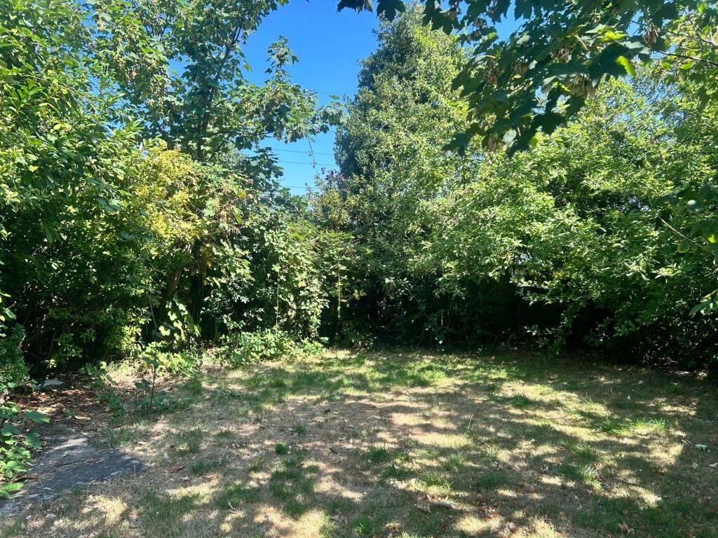3 bedroom detached house for rent