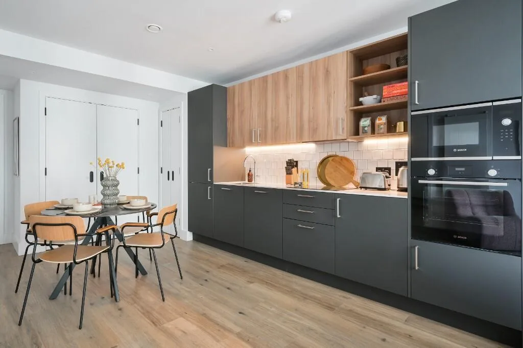 1 bedroom apartment for rent
