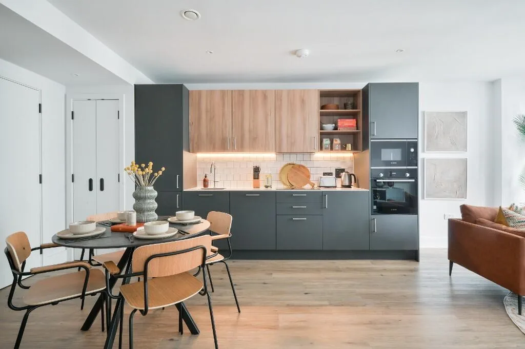 1 bedroom apartment for rent