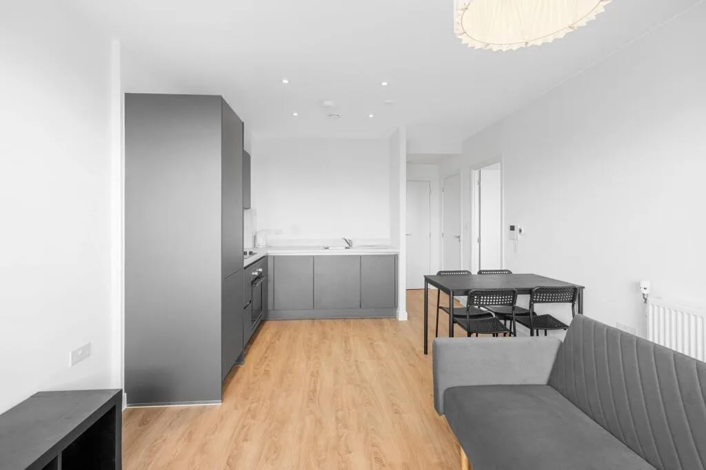1 bedroom apartment for rent