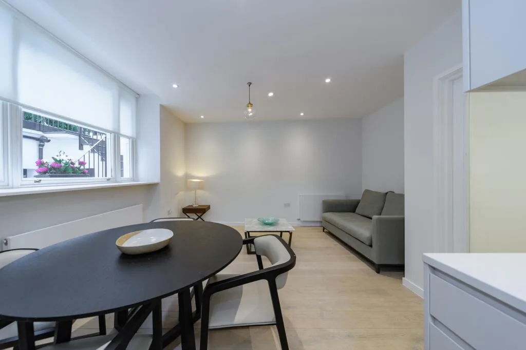 1 bedroom apartment for rent
