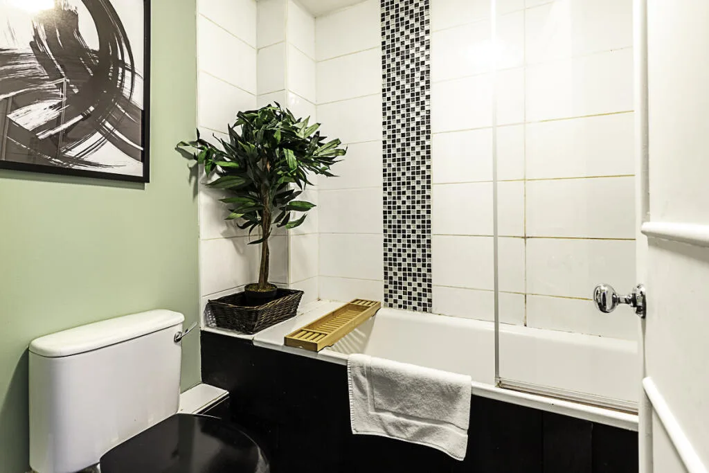 1 bedroom flat for rent