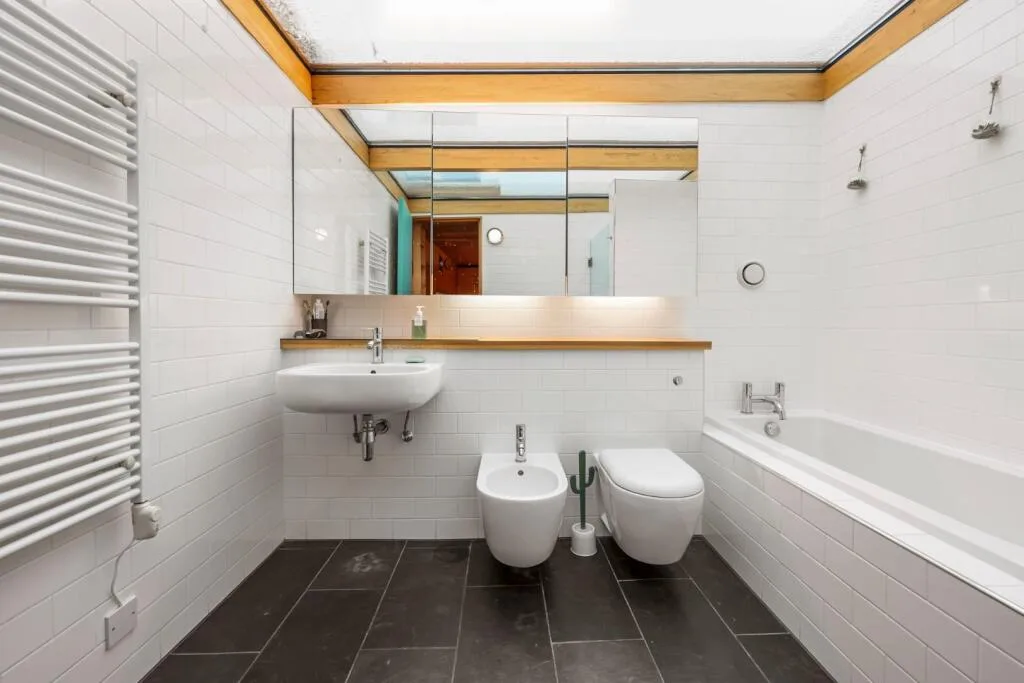 1 bedroom penthouse for rent