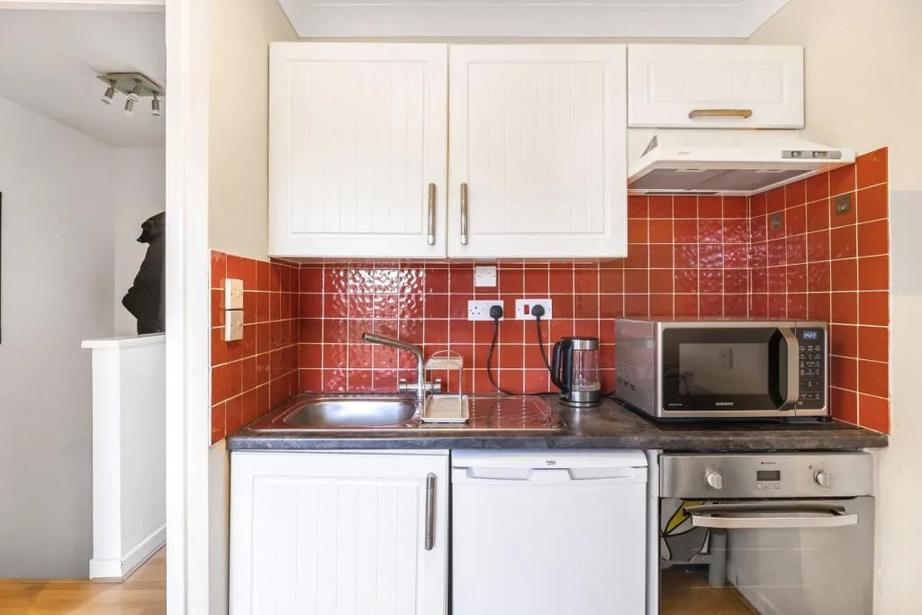 1 bedroom apartment for rent