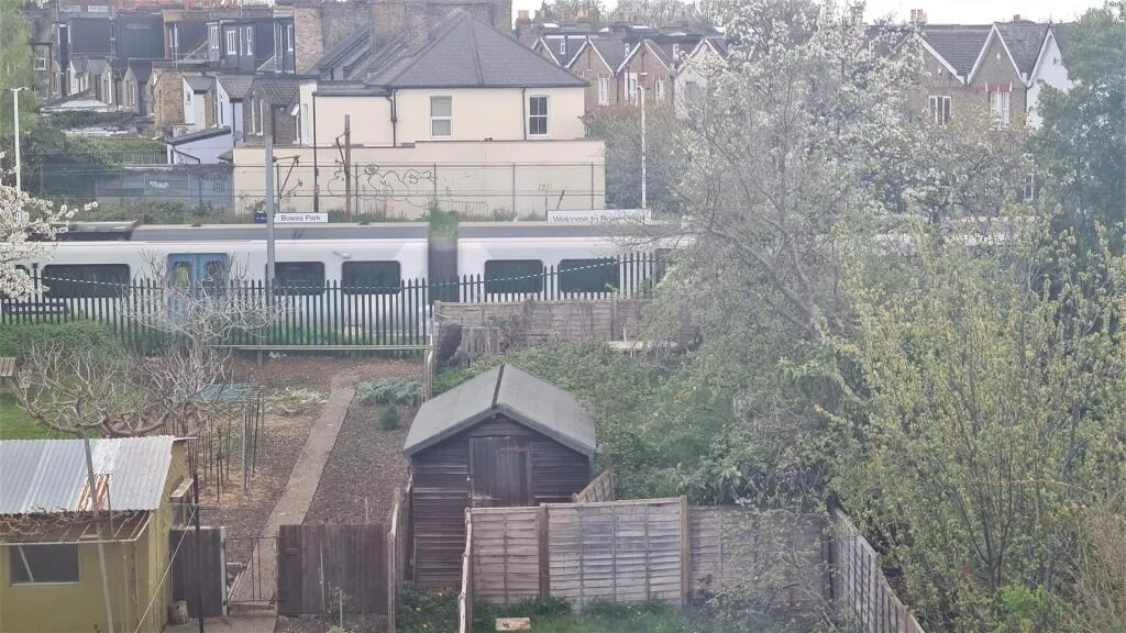 3 bedroom flat for rent
