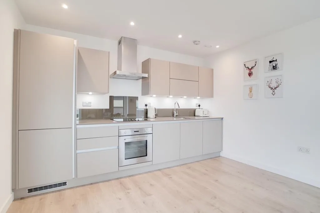 1 bedroom apartment for rent