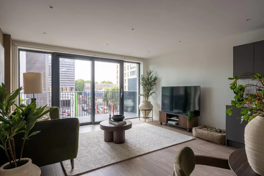 1 bedroom flat for rent
