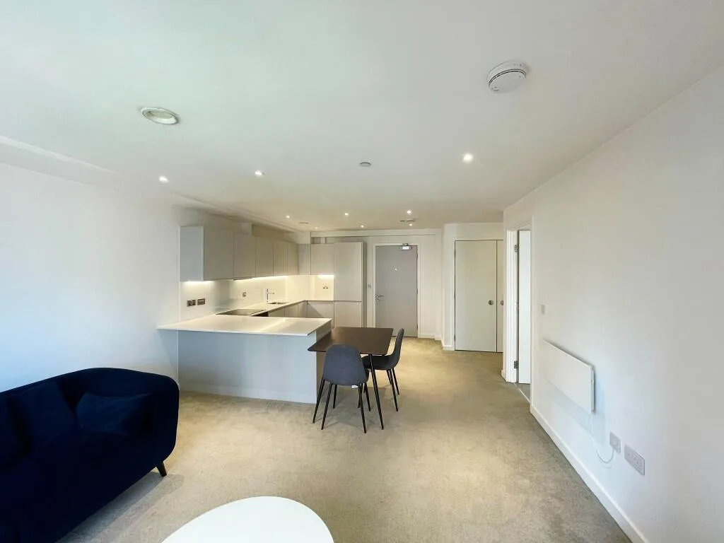 1 bedroom apartment for rent