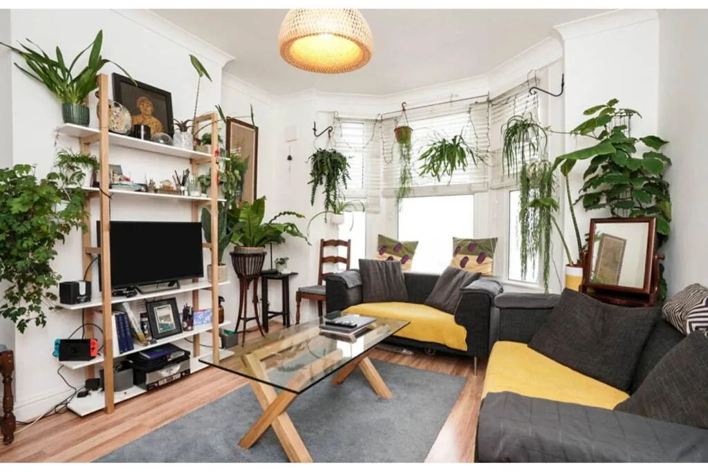 1 bedroom apartment for rent