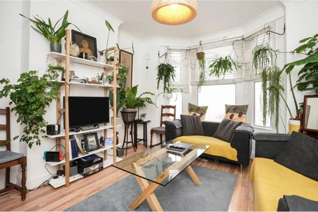 1 bedroom apartment for rent