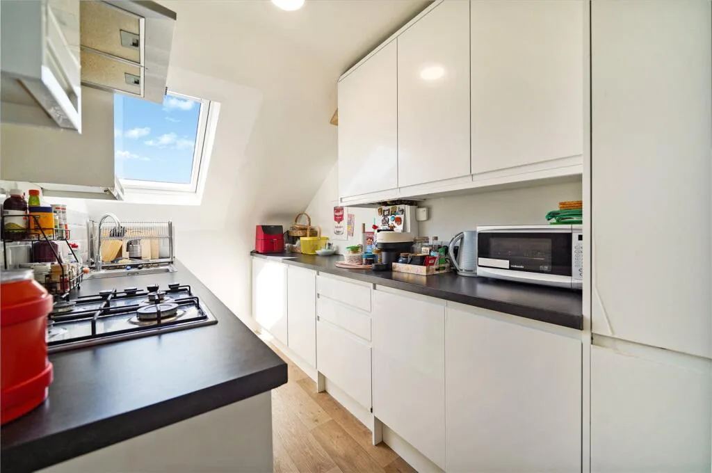 1 bedroom penthouse for rent