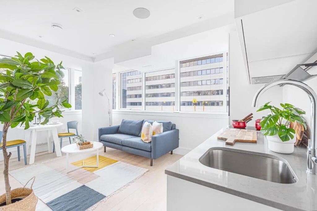 1 bedroom flat for rent