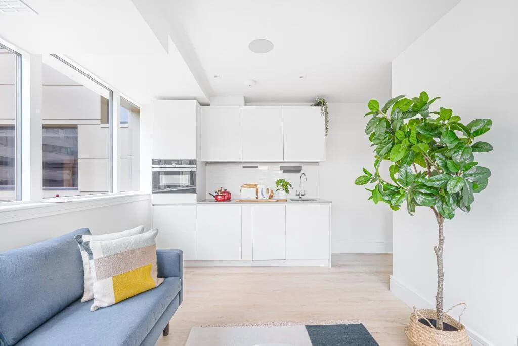 1 bedroom flat for rent