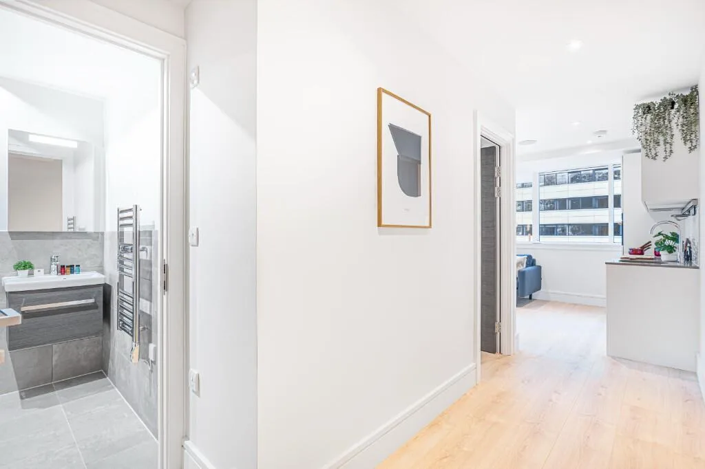 1 bedroom flat for rent