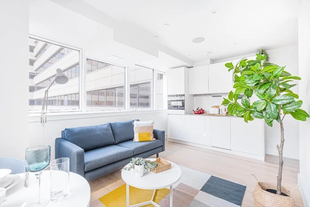 1 bedroom flat for rent