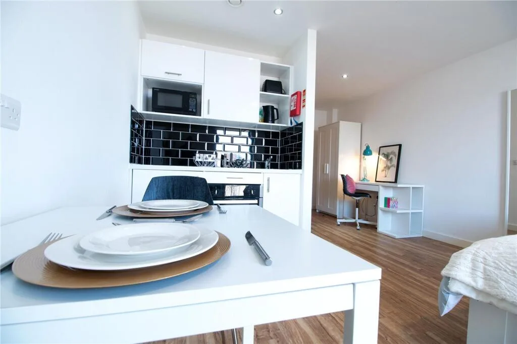 Studio flat for rent