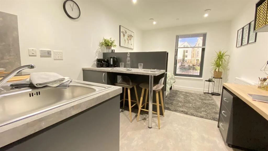 Studio flat for rent