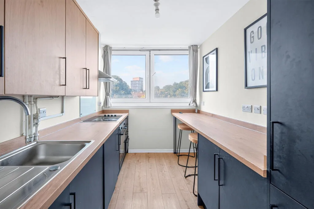 1 bedroom apartment for rent
