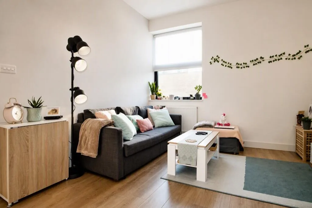1 bedroom flat for rent