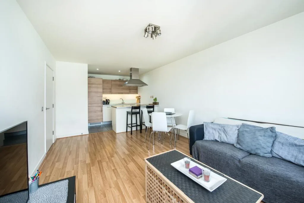 1 bedroom flat for rent