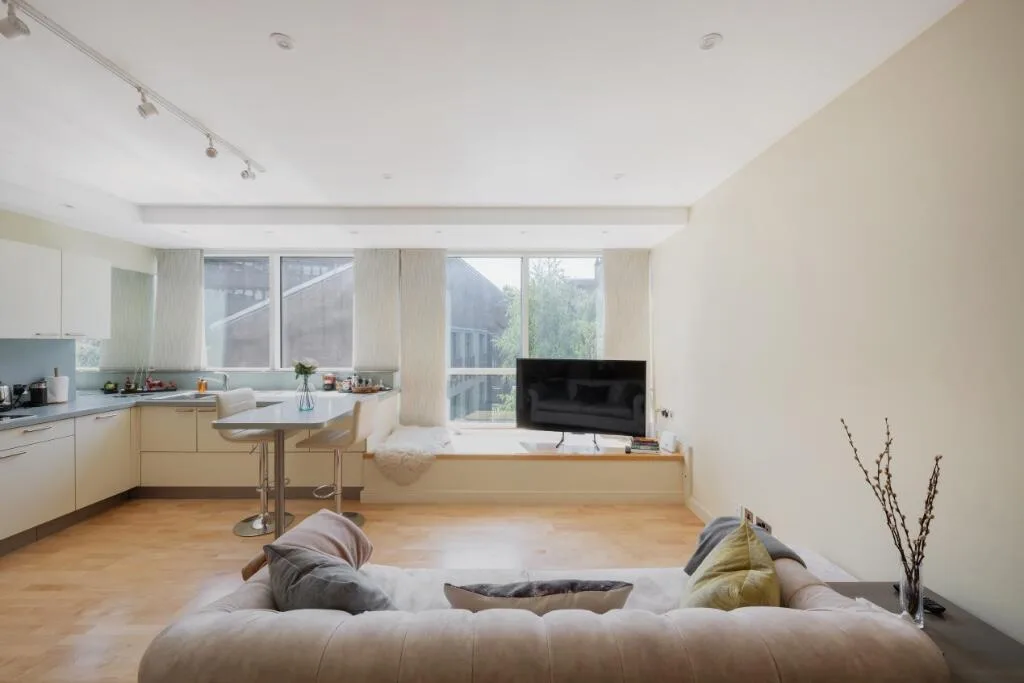 1 bedroom apartment for rent