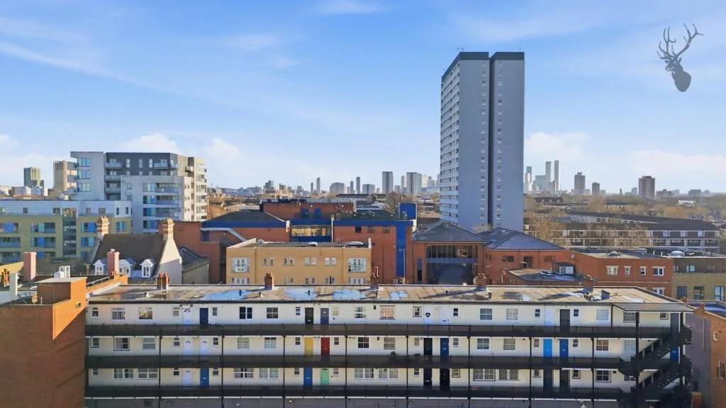 1 bedroom flat for rent