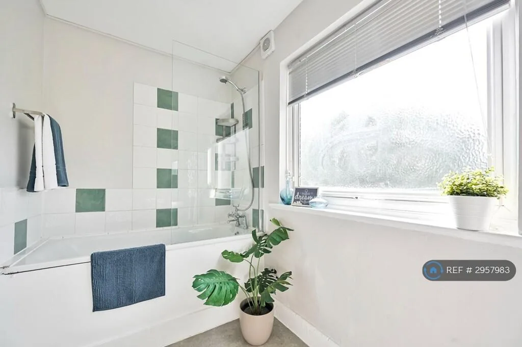 4 bedroom flat for rent